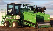 Ag Bag 340x202